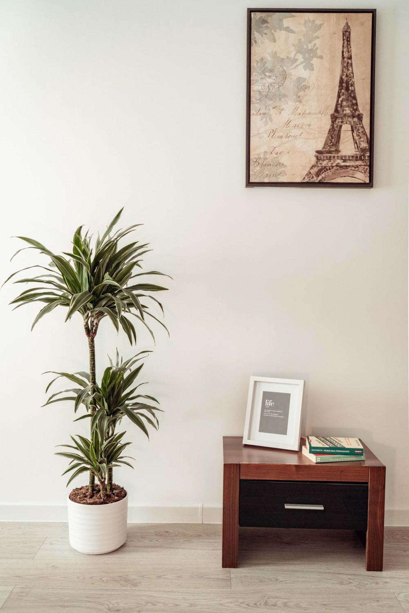 Palace Of Culture & Mall Collection & Appartement *